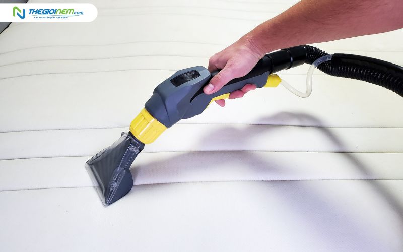 Hút bụi, vệ sinh nệm định kỳ