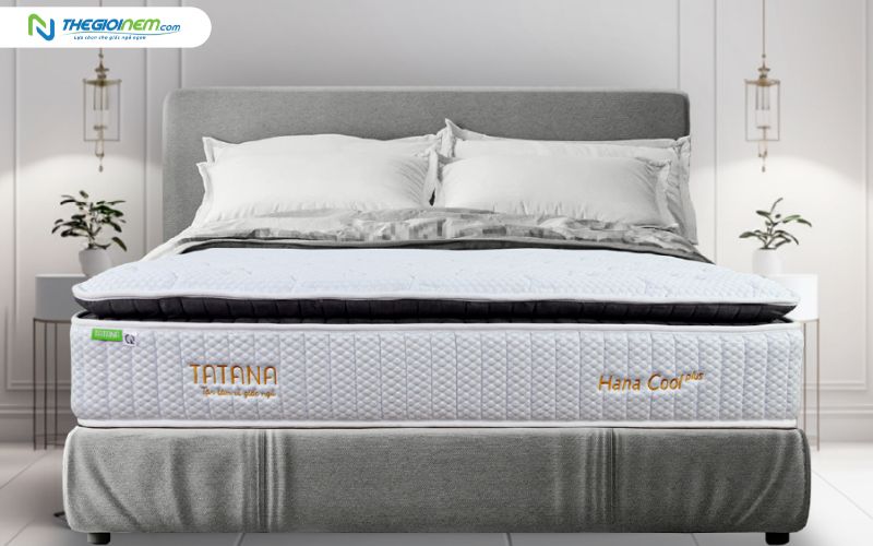 Nệm lò xo túi TATANA Hana Cool Plus