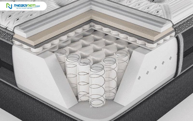 Một sản phẩm có thể kết hợp nhiều lớn đệm khác nhau