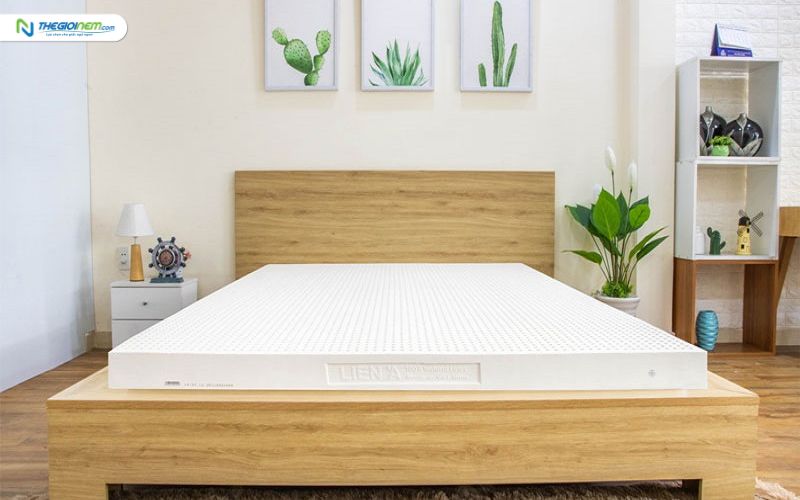 Cửa hàng bán nệm cao su giá rẻ tại quận 3