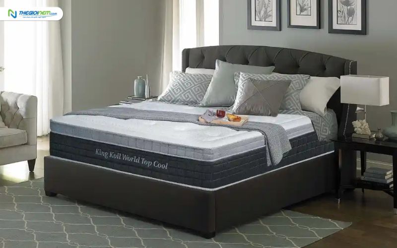 Cửa hàng bán nệm lò xo giá rẻ tại Bình Chánh
