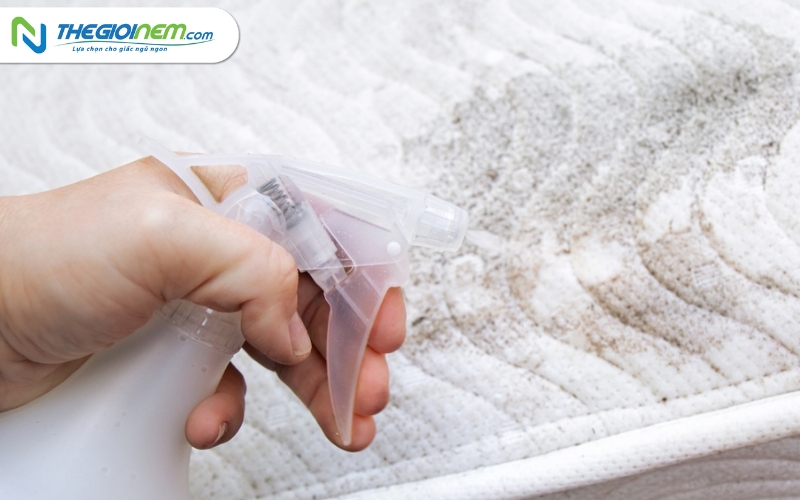 Giặt Nệm, Vệ Sinh Nệm Uy Tín Giá Rẻ tại quận 7