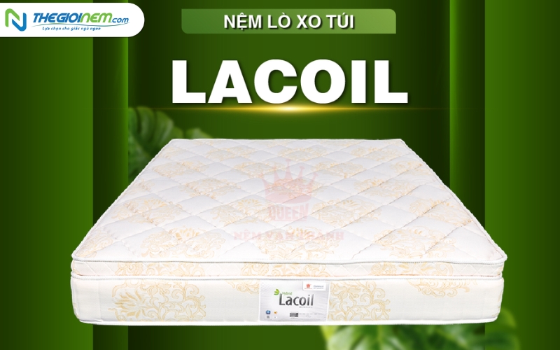 Mua Nệm Vạn Thành Trả Góp Tại Quận 9