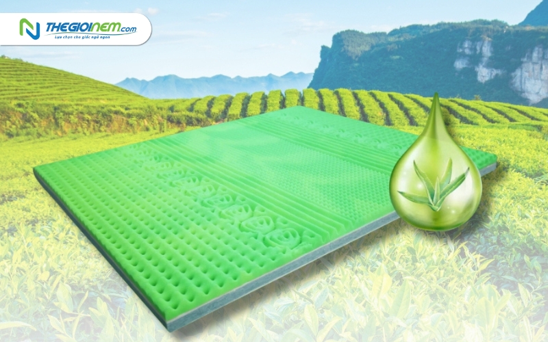 Cửa hàng bán nệm bông ép giá rẻ tại quận 3