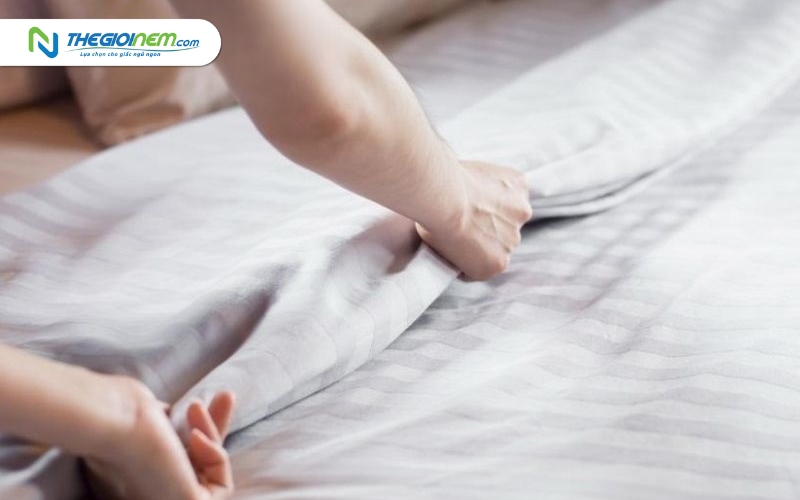 Cửa hàng bán nệm bông ép giá rẻ tại quận 3