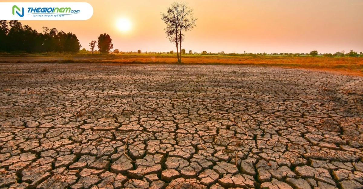 El Nino là gì? Tác động của hiện tượng El Nino