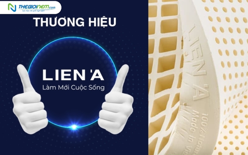 Mua Nệm Liên Á Trả Góp Tại Quận 4