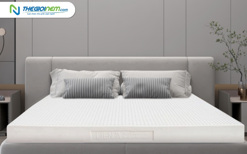 Nệm cao su Liên Á 1m6x2mx10cm giá bao nhiêu?