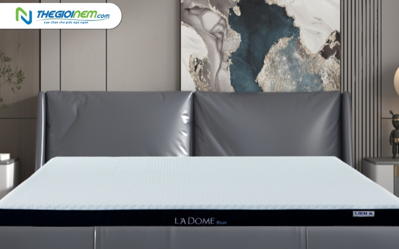 Nệm cao su Liên Á 1m6x2mx10cm giá bao nhiêu?