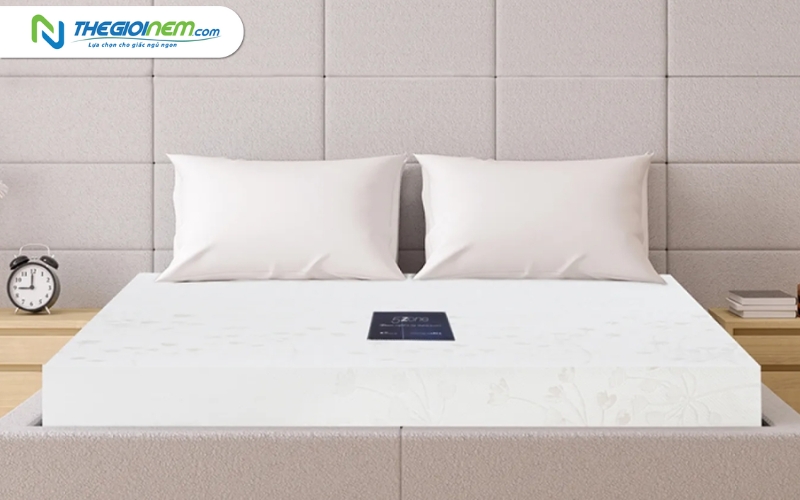 Nệm cao su Liên Á 1m6x2mx10cm giá bao nhiêu?