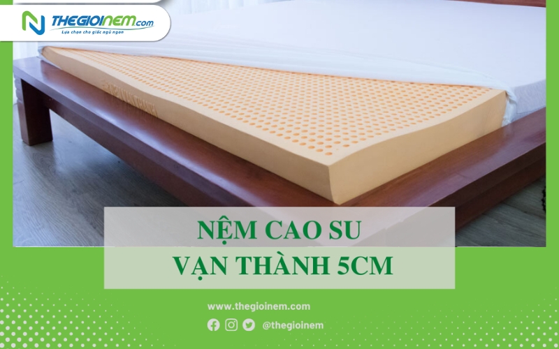 Nệm cao su vạn thành 5cm giá bao nhiêu? 1