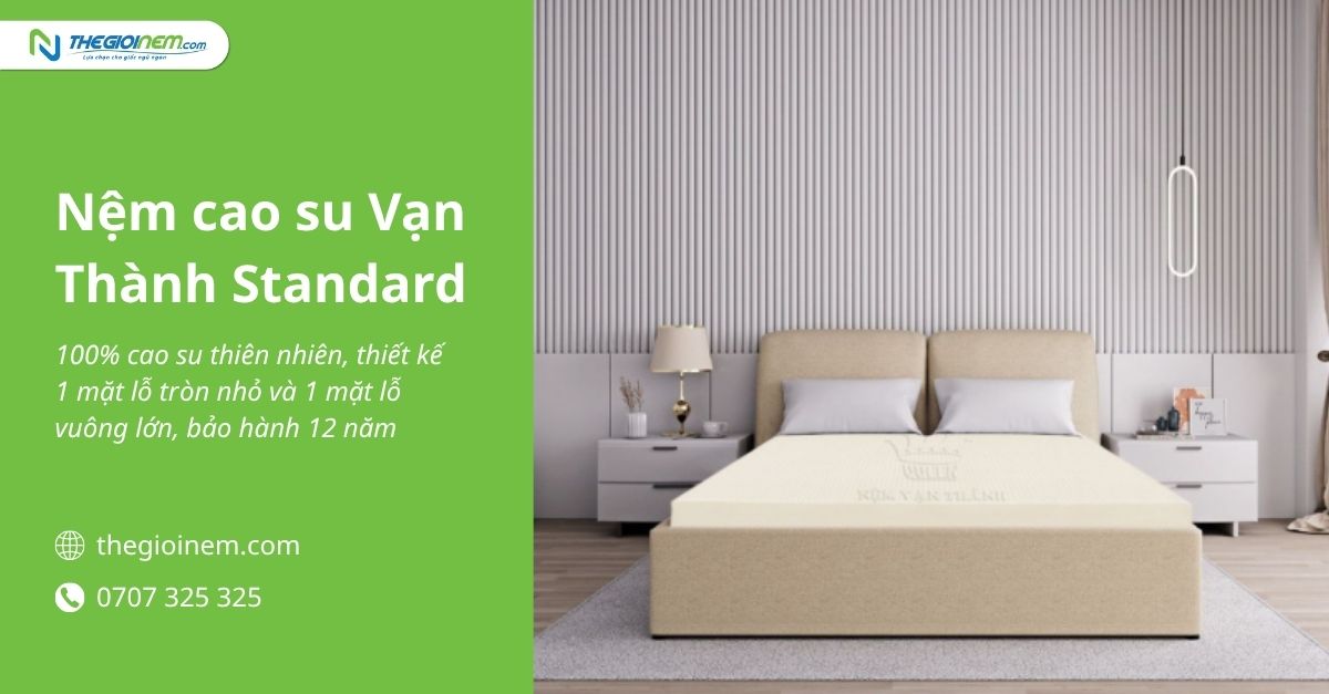 Nệm cao su Vạn Thành Standard 5