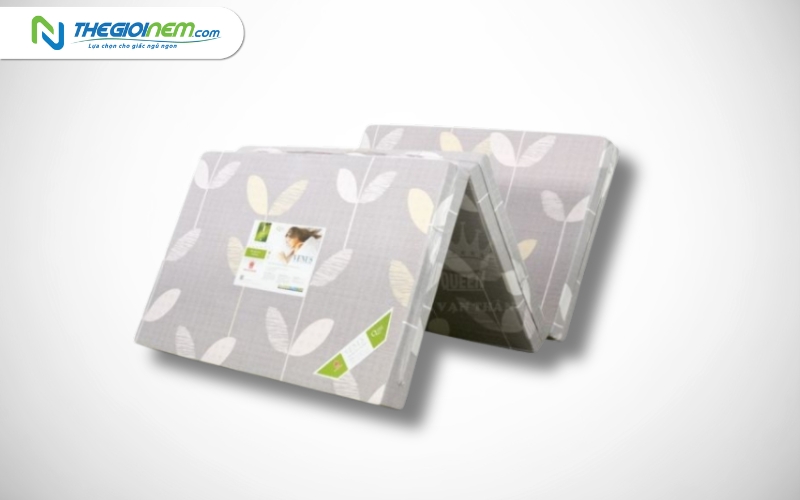 Nệm Vạn Thành 1m6x2mx10cm