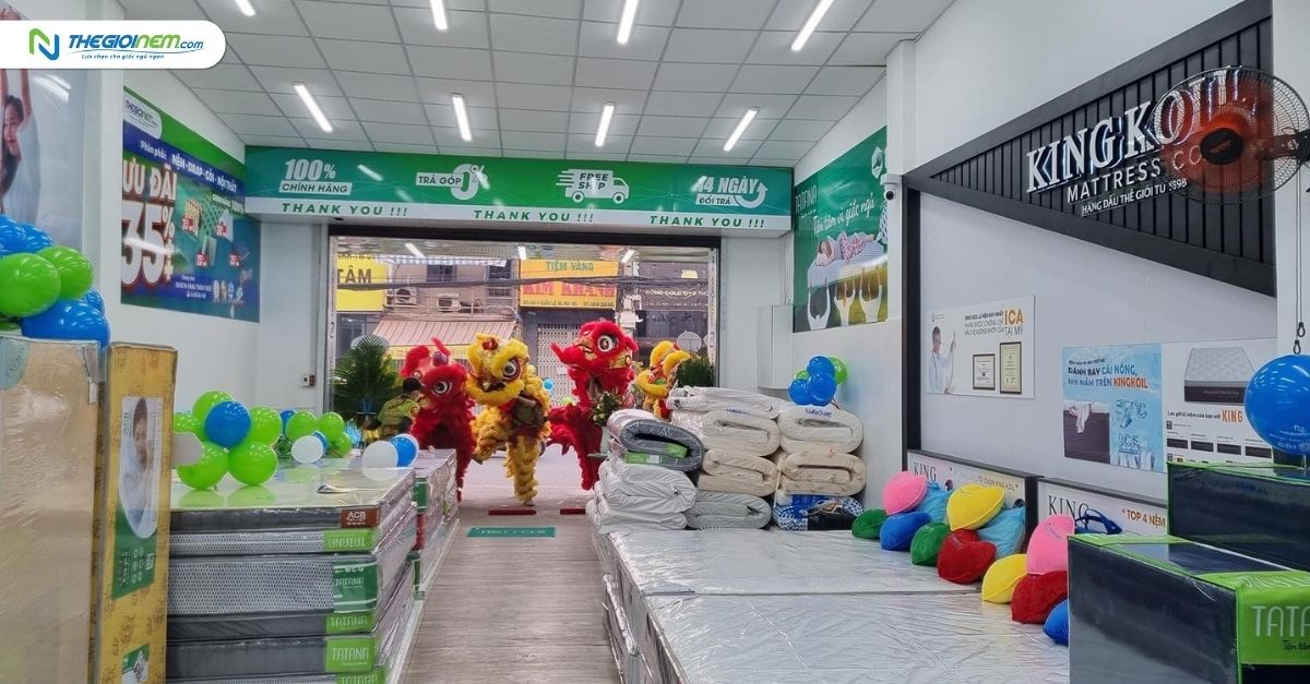 Thế Giới Nệm - Địa chỉ bán nệm cao su Vạn Thành uy tín 4