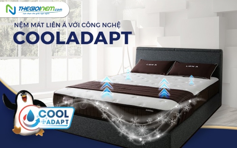 Cửa hàng bán nệm Liên Á chính hãng giá rẻ tại Vĩnh Long