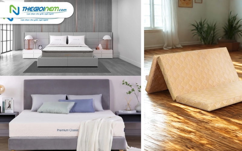 Cửa hàng bán nệm Liên Á chính hãng giá rẻ tại Vĩnh Long