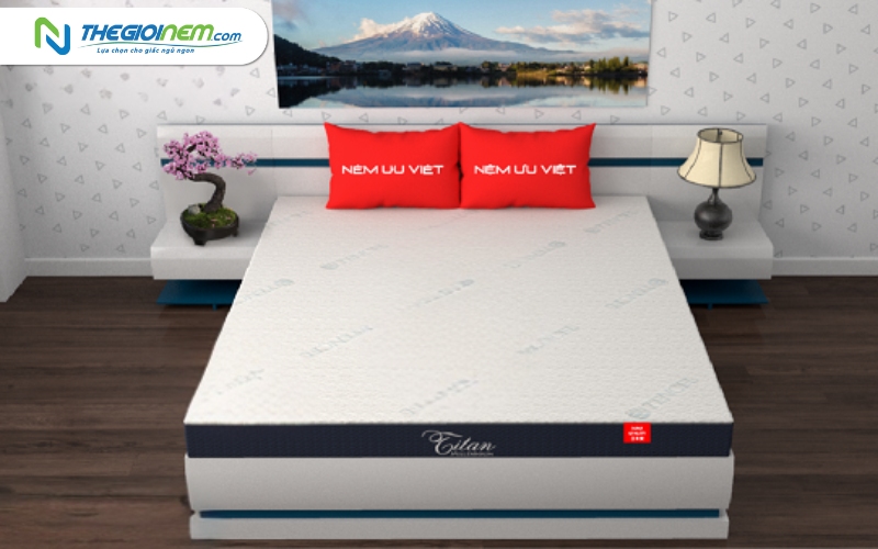 Cửa hàng nệm cao su nhân tạo giá rẻ tại Vĩnh Long