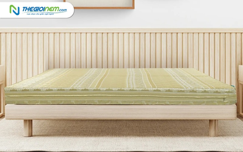 Mua nệm giá sỉ tại Bình Dương