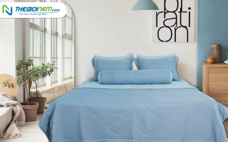 Nệm Everon Tại Bình Thạnh Giá Rẻ Cùng Quà Tặng