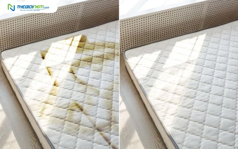 Tấm nệm mới sau khi được làm sạch