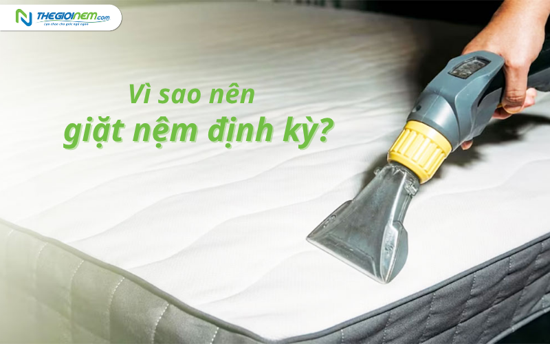 Vì sao nên giặt nệm định kỳ?