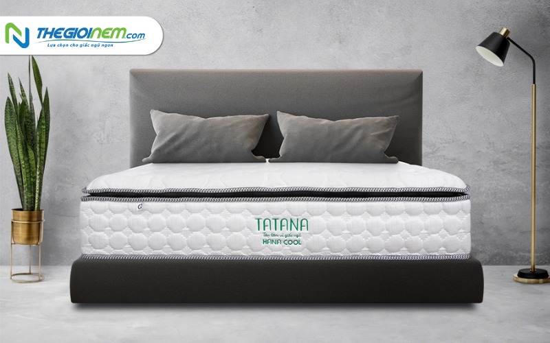 Đại Lý Bán Nệm Lò Xo Giá Rẻ Tại Quận 9