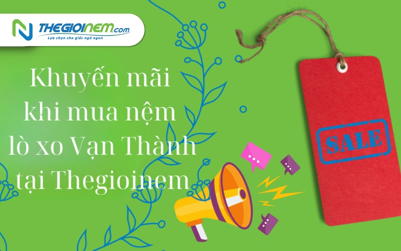 Nệm lò xo Vạn Thành giá rẻ Cần Thơ | Thegioinem.com