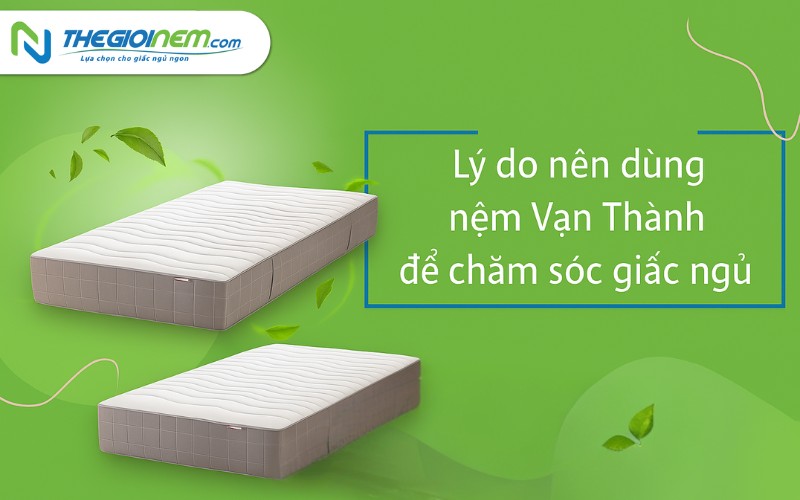 Nệm Vạn Thành Tại Vĩnh Long