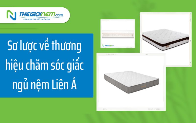 Sơ lược về thương hiệu chăm sóc giấc ngủ nệm Liên Á