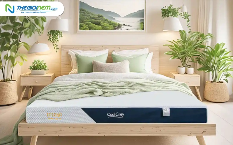 Top 6 thương hiệu nệm cao su uy tín tốt nhất thị trường hiện nay
