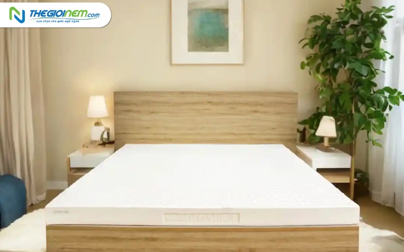 Top 6 thương hiệu nệm cao su uy tín tốt nhất thị trường hiện nay