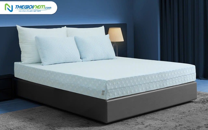 Top 6 thương hiệu nệm cao su uy tín tốt nhất thị trường hiện nay