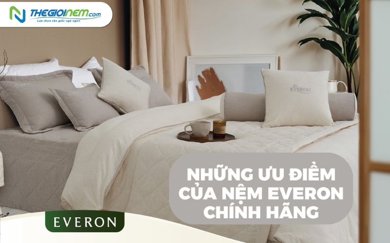 Đại lý nệm Everon Cần Thơ chính hãng, giá rẻ