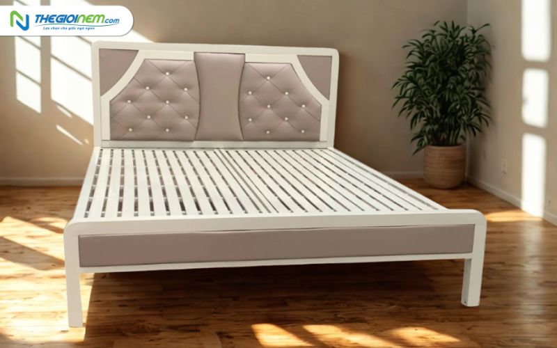 Địa Chỉ Cửa Hàng Bán Giường Sắt Giá Rẻ, Uy Tín Tại Vĩnh Long