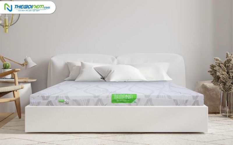 Nệm cao su 5cm thiên nhiên giá bao nhiêu? Thegioinem.com