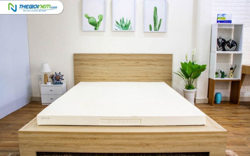 Nệm cao su 5cm thiên nhiên giá bao nhiêu? Thegioinem.com