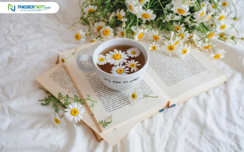 Trà hoa cúc từ lâu đã được sử dụng để giảm căng thẳng
