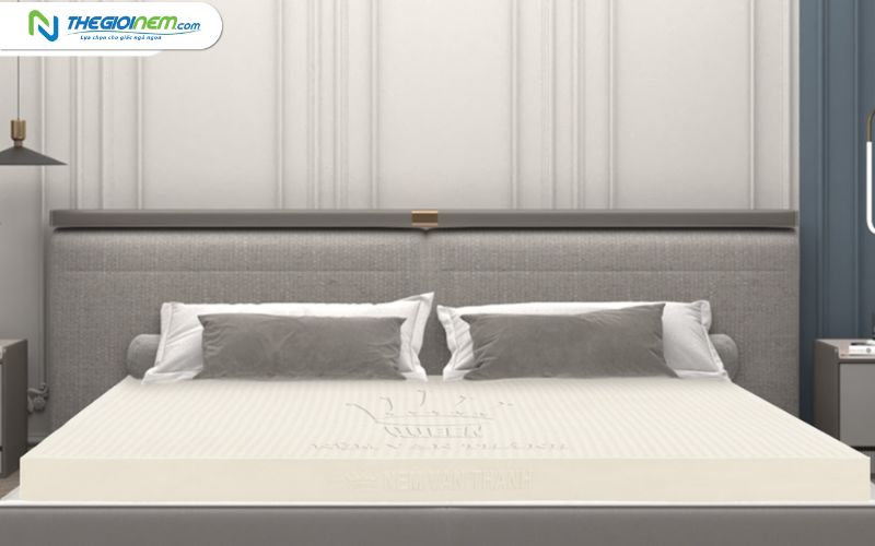 Giá Nệm Cao Su 1m8x2m