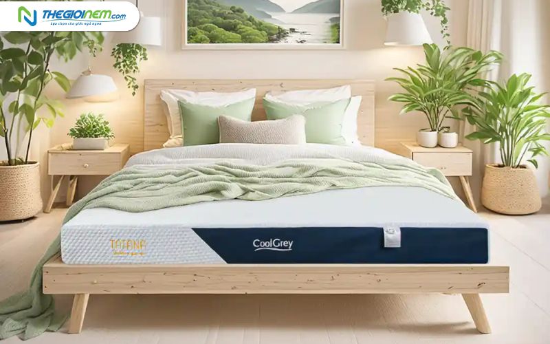 Giá Nệm Cao Su 1m8x2m