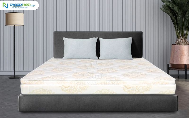 Nệm Vạn Thành 1m2 Giá Bao Nhiêu?