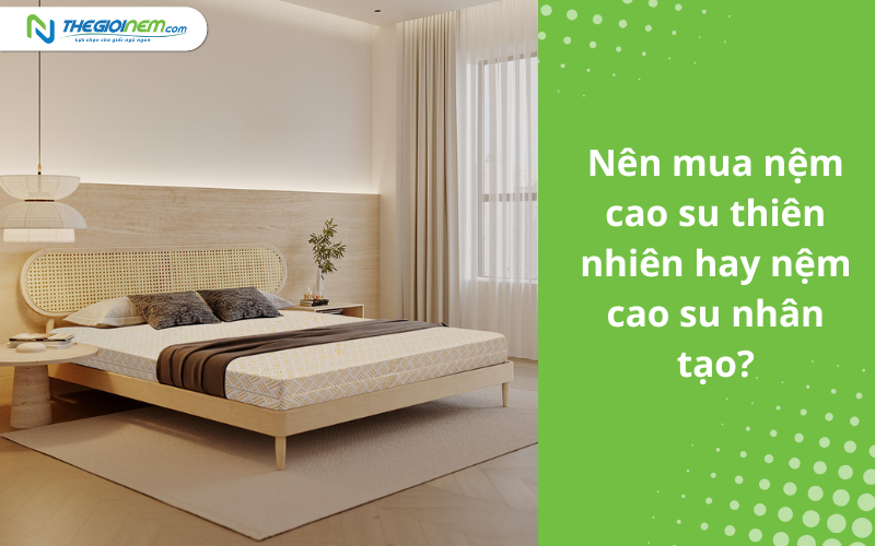 Nên mua nệm cao su thiên nhiên hay cao su nhân tạo