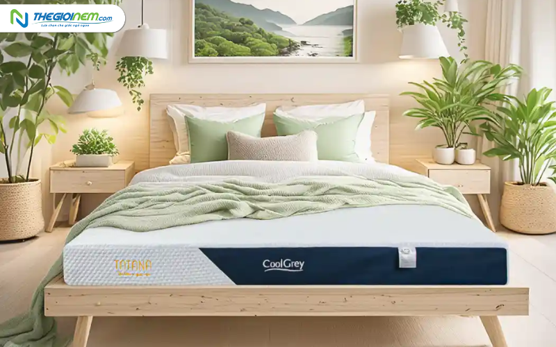 Ưu & nhược điểm của nệm cao su thiên nhiên