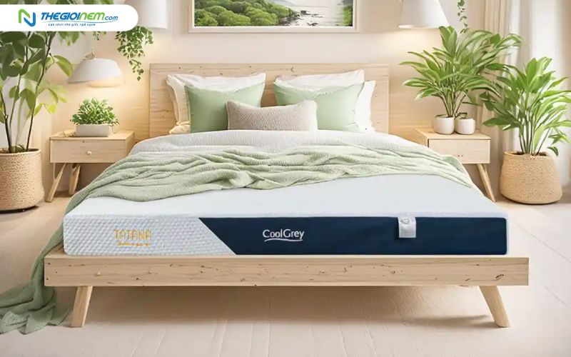 Đặt nệm cao su thiên nhiên tại vị trí thoáng mát