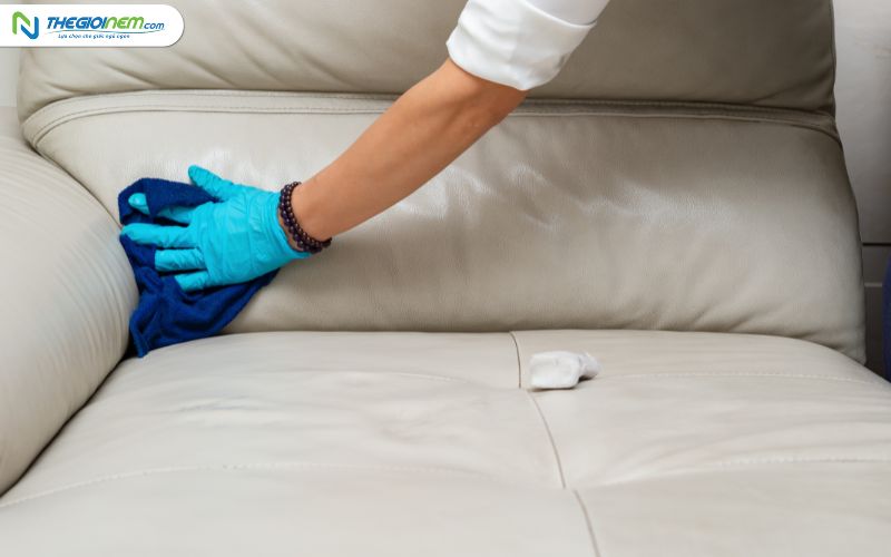 Hướng Dẫn Làm Vệ Sinh Sofa Da Tại Nhà