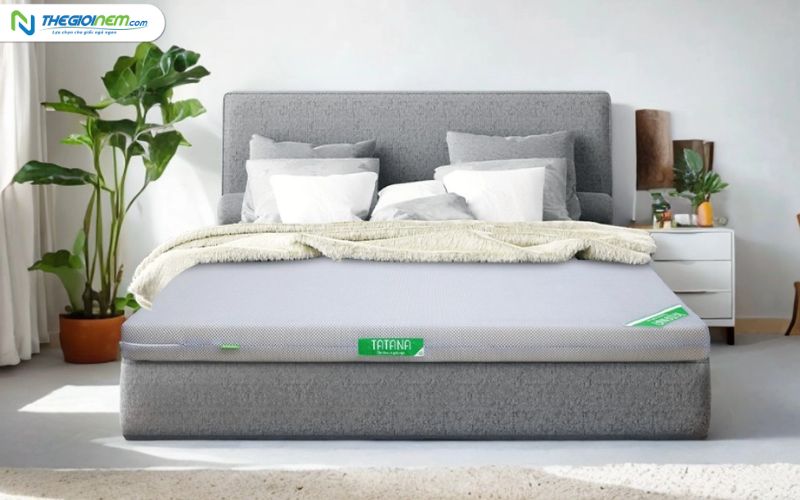 Mua nệm cao su nhân tạo chính hãng giá rẻ tại Biên Hòa - Đồng Nai