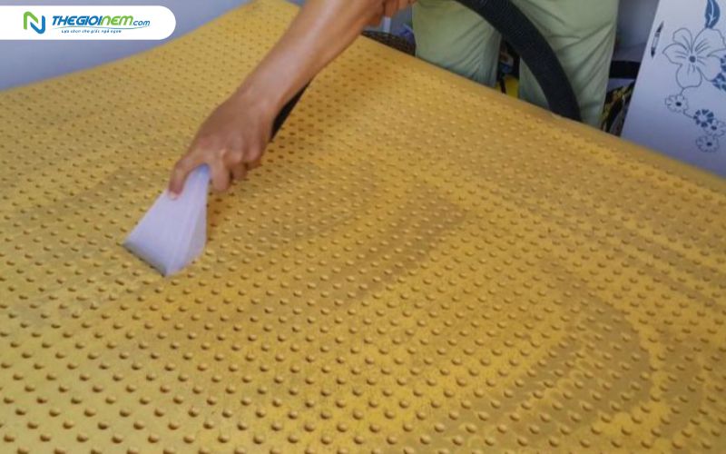 Nệm cao su thiên nhiên cần được vệ sinh định kỳ, đúng cách
