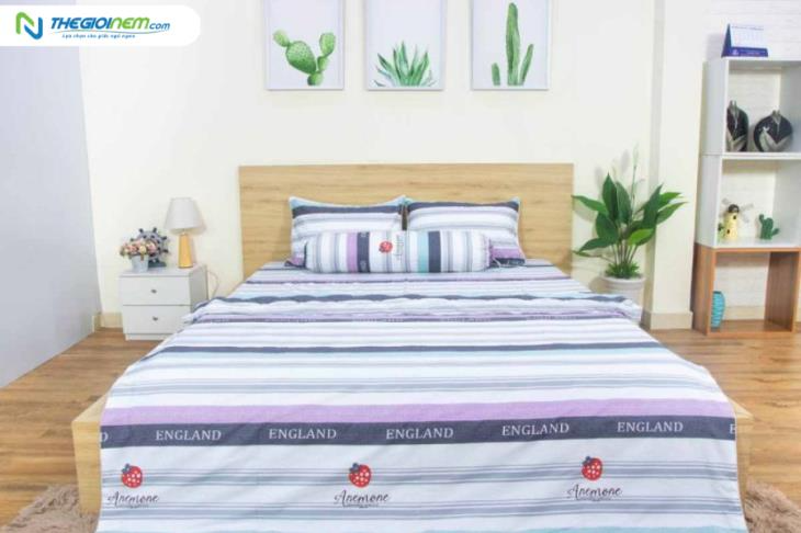 [Báo Biên Phòng] Thế Giới Nệm mách bạn bí kíp chọn chăn ga gối nệm mát ngày hè