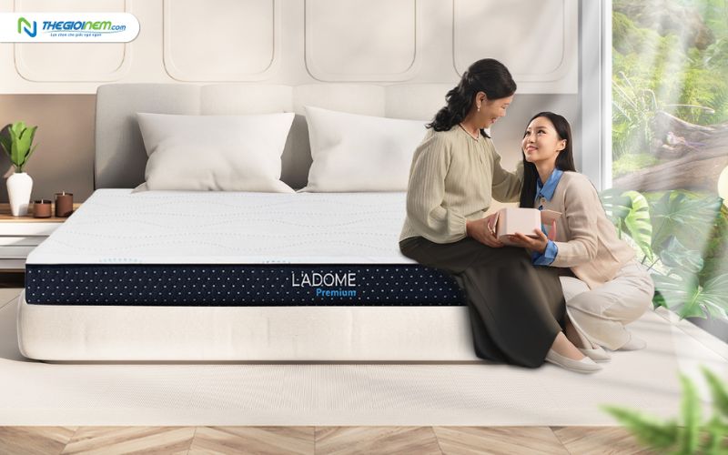 Mua Nệm Cao Su Liên Á Chính Hãng Giá Rẻ Tại Nha Trang