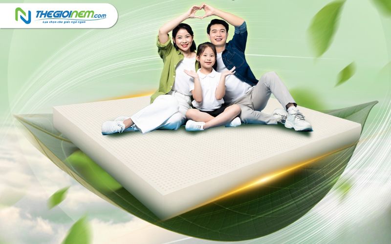 Cửa hàng bán nệm Vạn Thành Nha Trang giá tốt | Thegioinem.com