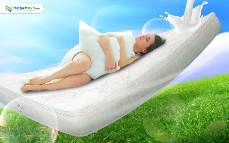 Địa chỉ cửa hàng bán nệm cao su Vạn Thành Nha Trang | Thegioinem.com